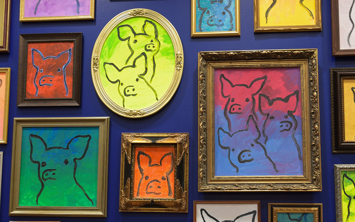 A close-up of the colorful, framed pig paintings with green, orange, and blue backgrounds.