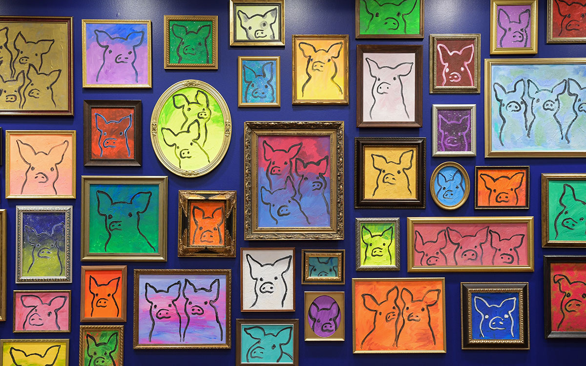 A gallery wall with many framed paintings of pigs on colorful backgrounds