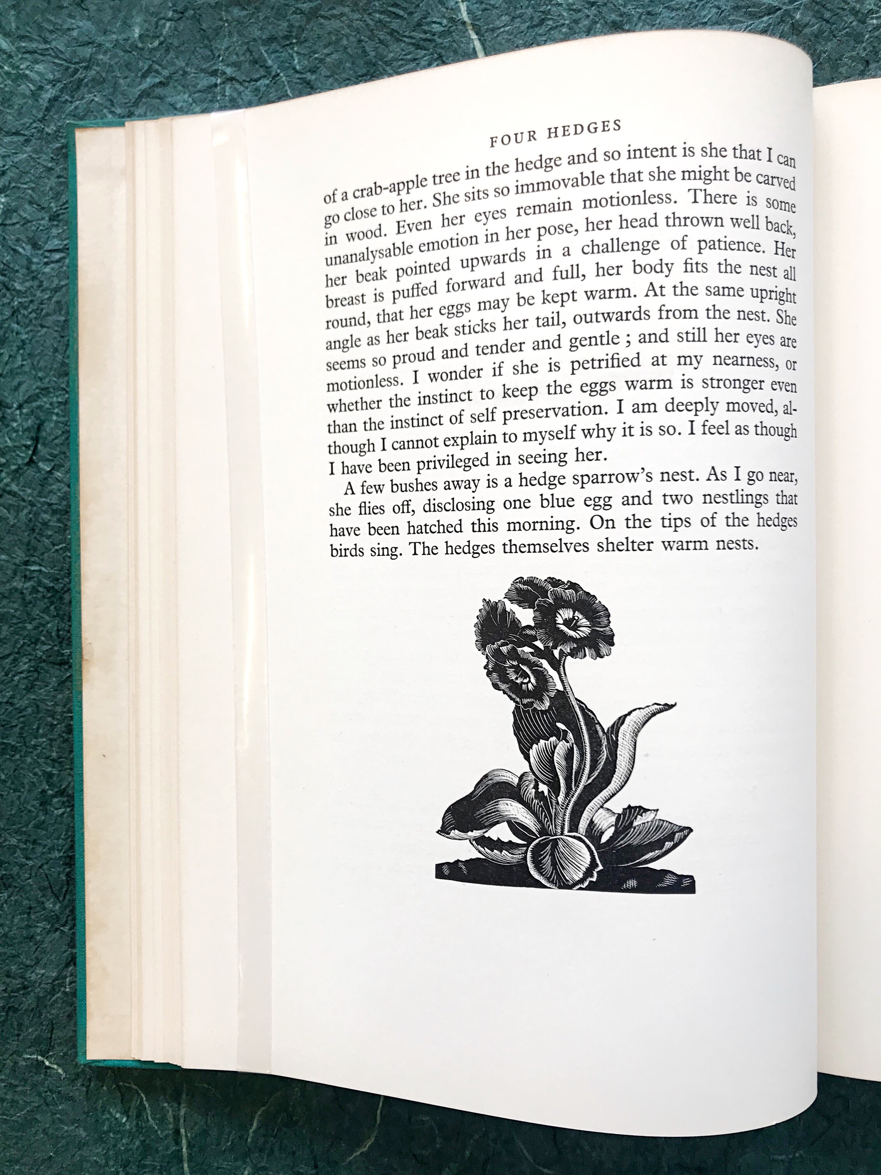 page from The Farmer’s Year by Clare Leighton with an illustration of a flower