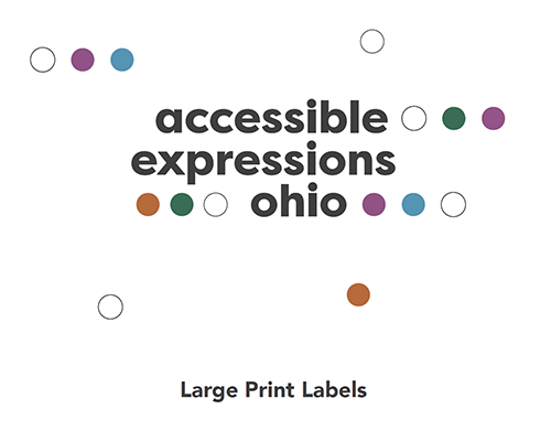 Accessible Expressions Ohio Large Print Labels