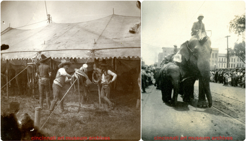 on the left, a group of men set up a canopy tent, on the right, a parade of elephants on a city street