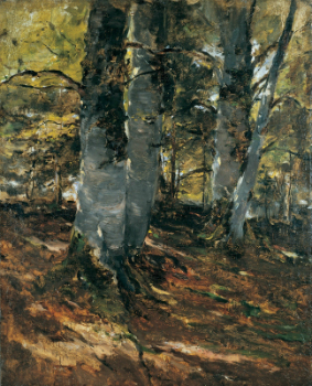  Frank Duveneck's Beechwoods at Polling, Bavaria, a painting of two beechwood trees in a shadowy forest