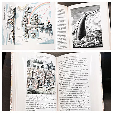 various pages from illustrated novels