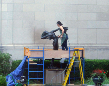 Conserving the Vine in the Bimel Courtyard