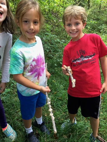 students collecting objects found in nature