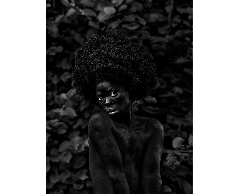 Zanele Muholi's HeVi, a dark toned black and white photograph of a black woman with a large afro gazing at the viewer in front of a hazy wall of leaves