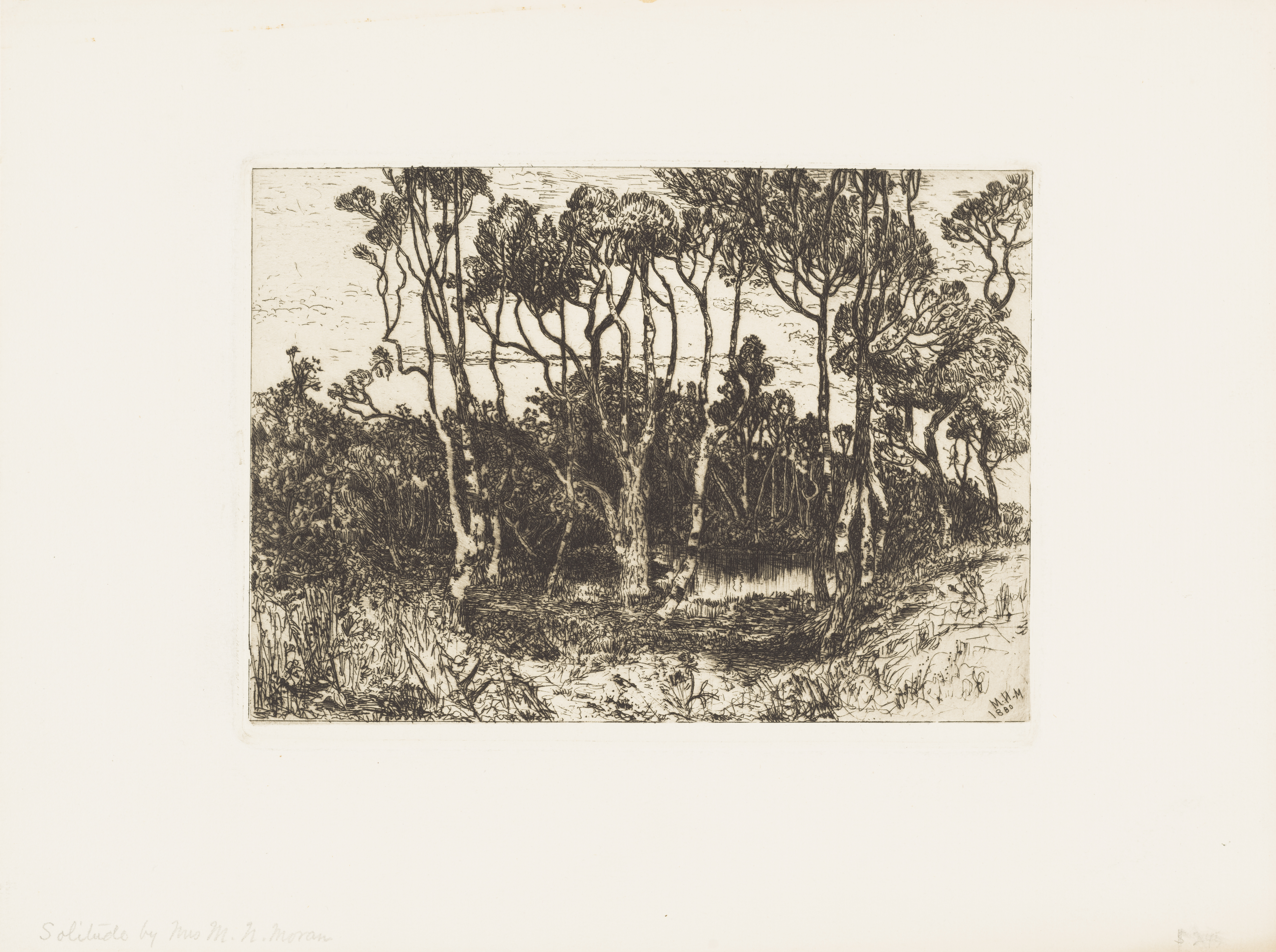 Mary Nimmo Moran's Solitude, etching of a forest scene with tall shady trees and a reflecting pond