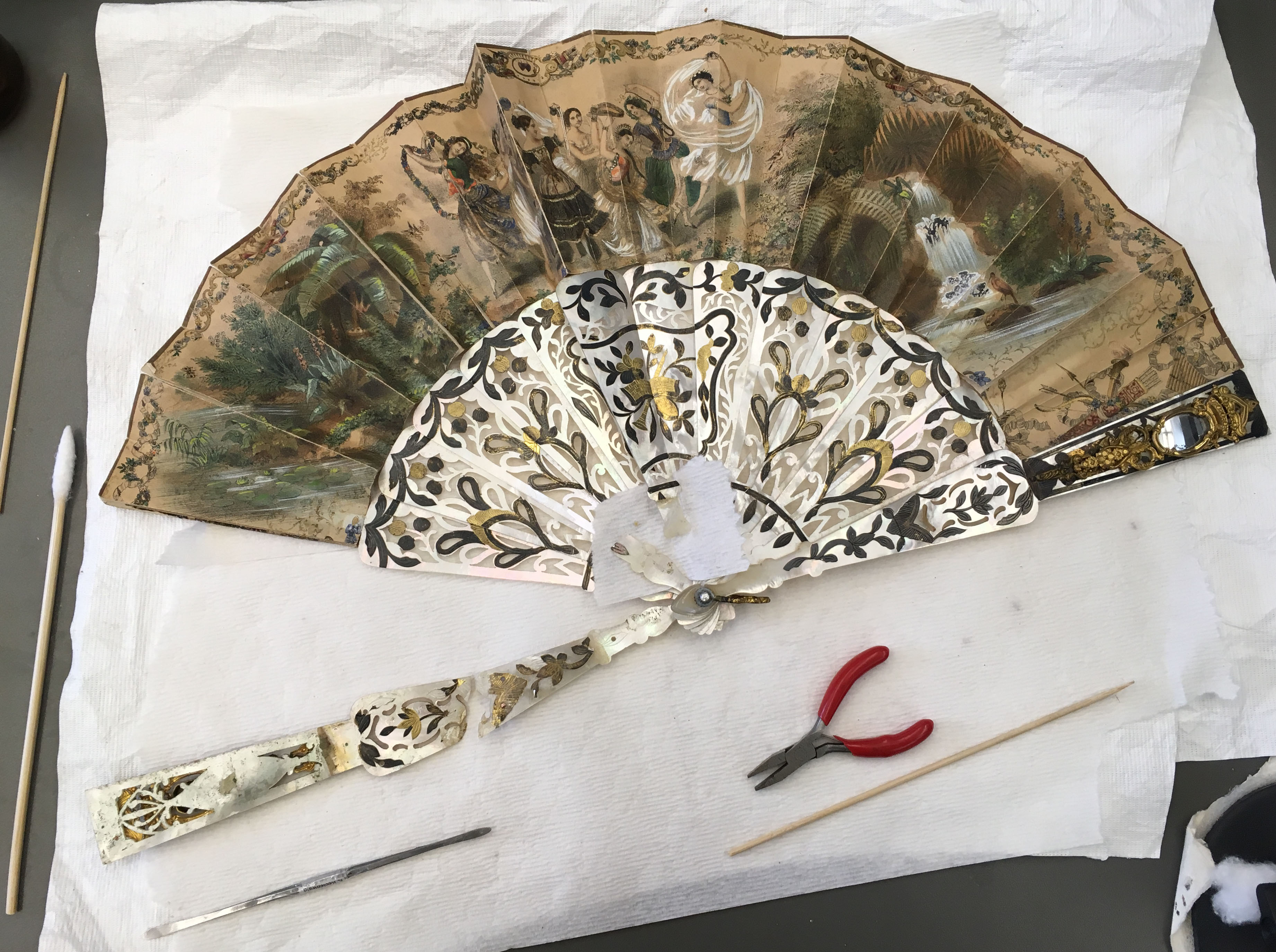 fan in conservation