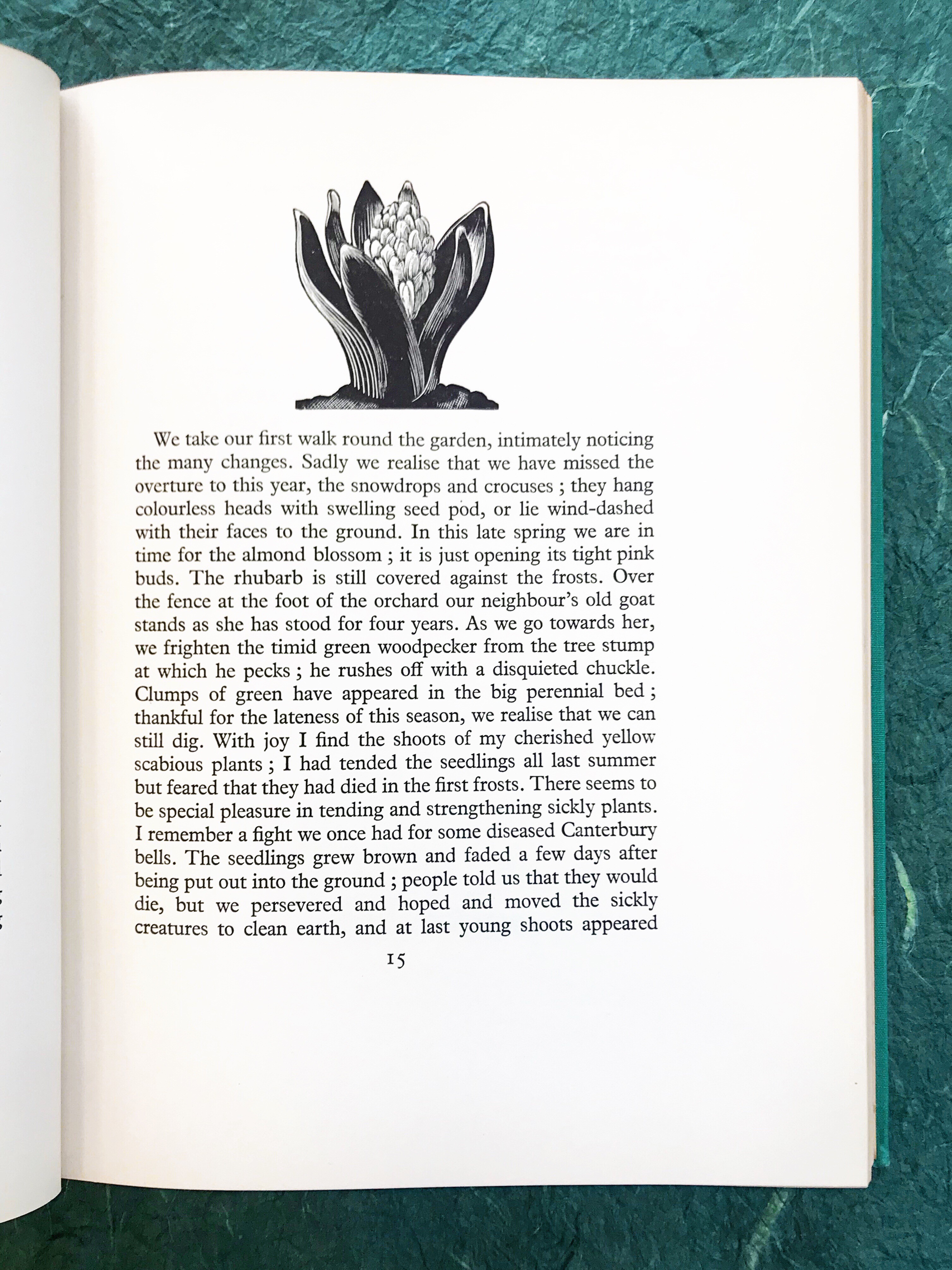 page from The Farmer’s Year by Clare Leighton with an illustration of a flower