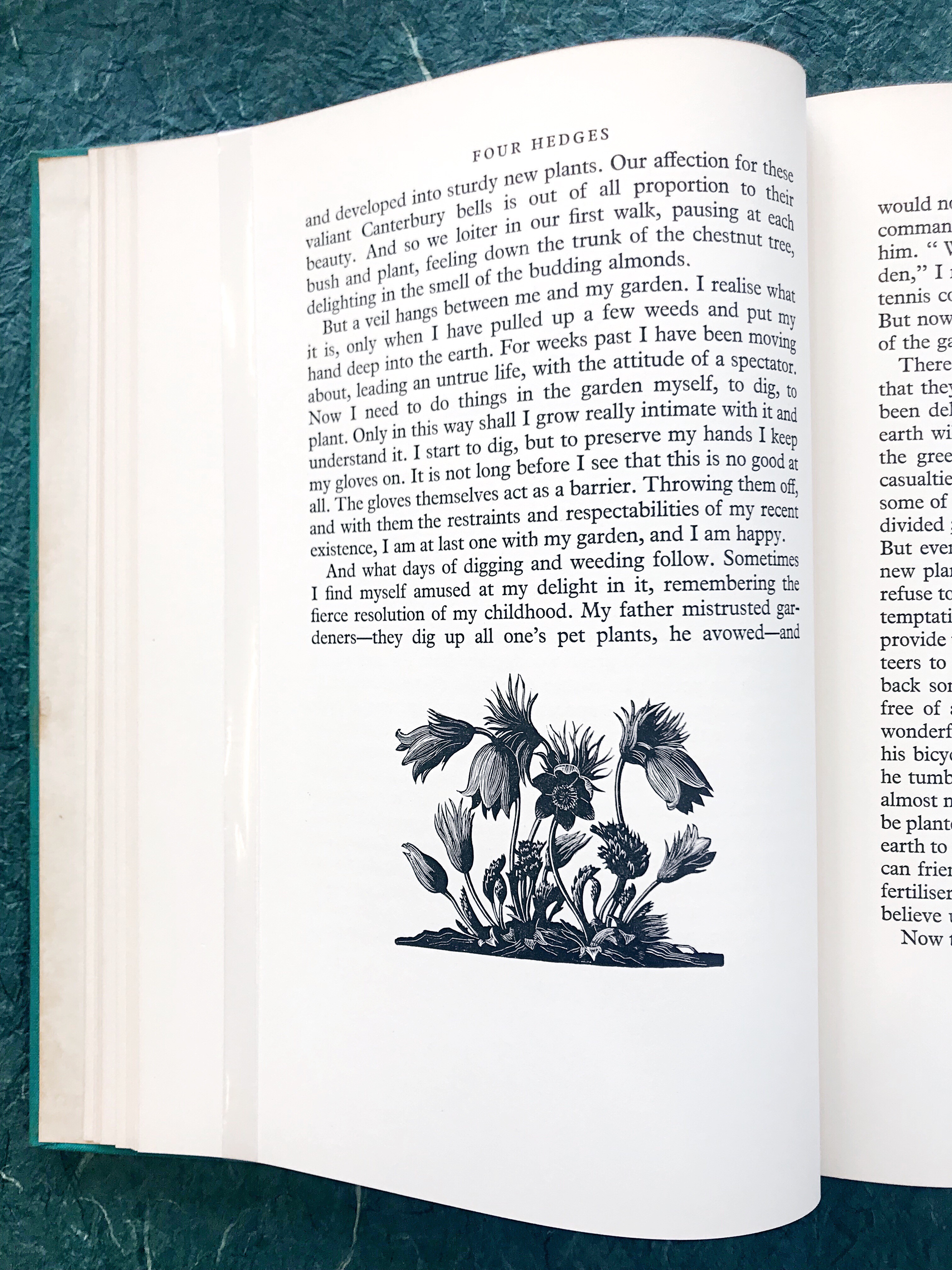 page from The Farmer’s Year by Clare Leighton with an illustration of a flower