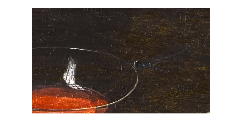 detail of a dragonfly sitting on the wine glass