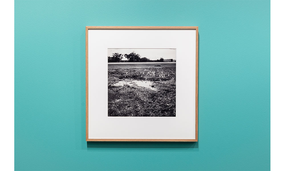 Black and white photograph of a flooded field