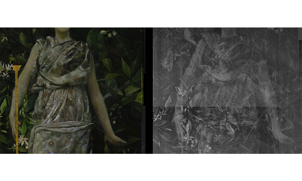 side by side painting and its x-ray