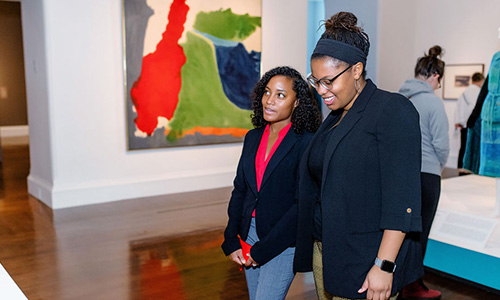 Members see a special exhibition before it opens to the public at a Members Opening