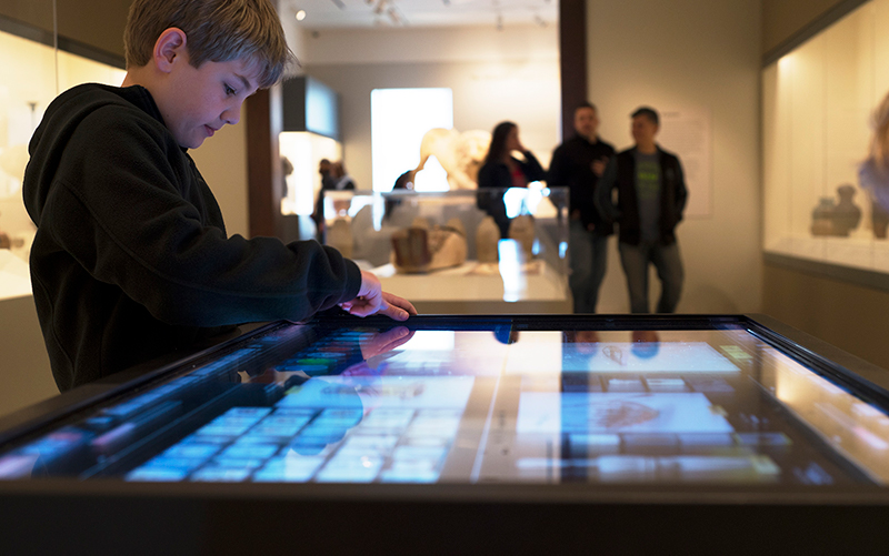 Visitor viewing an interactive in an exhibit