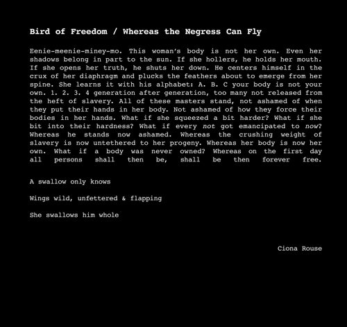 Birds of Freedom by Ciona Rouse