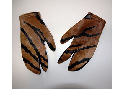 zebra print gloves in conservation