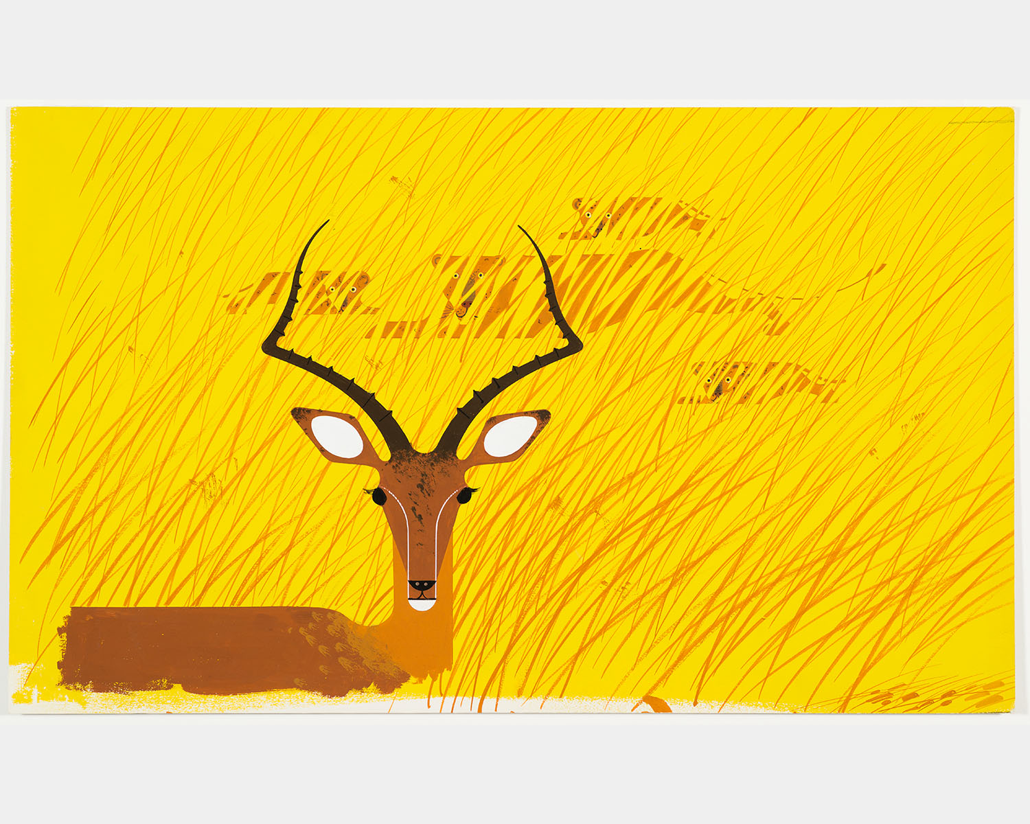 An impala in a yellow field of grass.