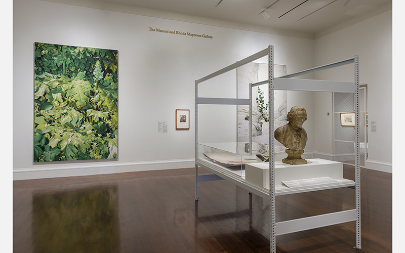 Natural World, installation view. Courtesy of Cincinnati Art Museum. Photo Rob Deslongchamps.