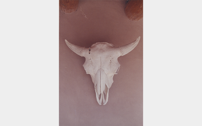 Georgia O’Keeffe (American, 1887–1986), Skull, Ghost Ranch, 1961–72, chromogenic print, Georgia O’Keeffe Museum, Santa Fe, 2006.6.1446b 
14 3/4 × 11 3/4 × 1 3/8 in. (37.5 × 29.8 × 3.5 cm)

