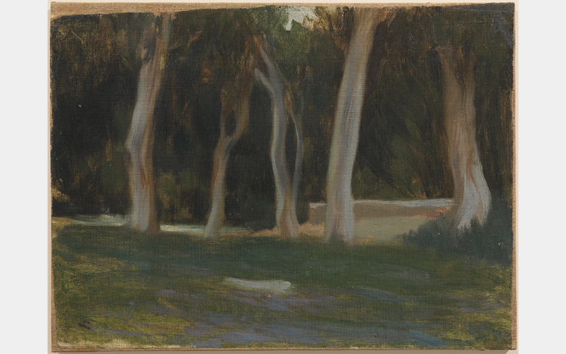 Pablo Picasso (Spanish, 1881-1973) Grove , October 1897–May 1898 Oil on canvas 8 3/16 x 14 ¾ inches Museu Picasso, Barcelona. Gift of Pablo Picasso, 1970 MPB 110.071 Image © Museu Picasso, Barcelona Photo: Fotogasull © 2023 Estate of Pablo Picasso / Artists Rights Society (ARS), New York Courtesy American Federation of Arts