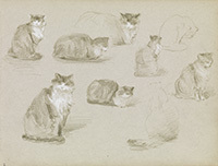 Elizabeth Nourse (American, 1859–1938), Sketches of a Cat, circa 1889, graphite pencil and white chalk on paper, from Sketchbook 7, Gift of the Mercantile Library, Cincinnati, through the generosity of the Niehoff Family