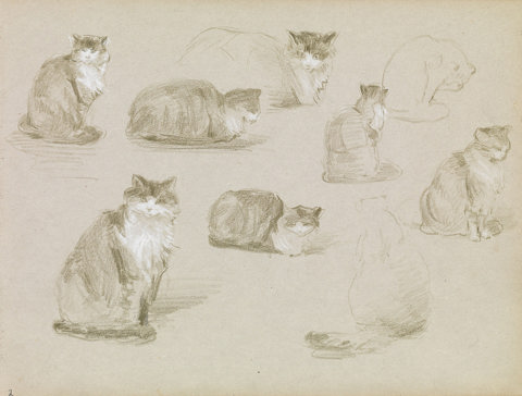 Elizabeth Nourse’s Sketches of a Long-haired Cat, several drawings and outlines of a cat in different poses