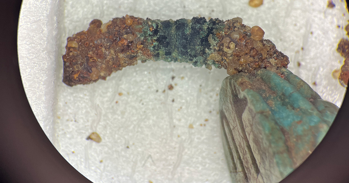 Microscope image of an ancient scarab ring. The removal of corrosion and burial dirt in the center revealed a metal coil around the ring’s band. 