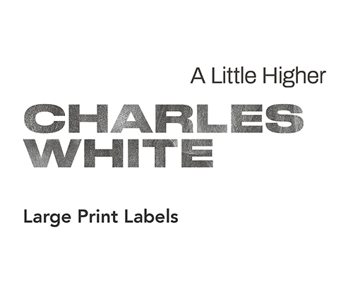 "Charles White: A Little Higher Large Print Labels" in black & white with a distressed, spotty font design