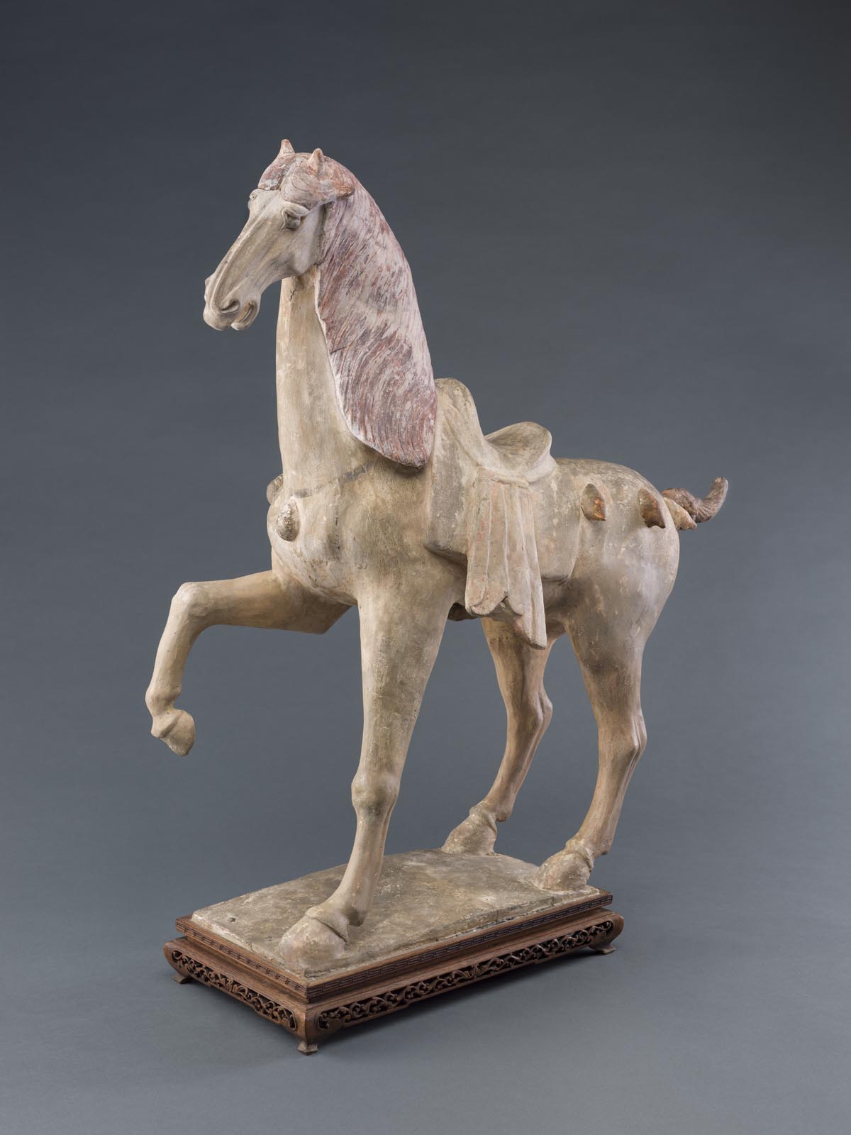 A horse raises its front leg