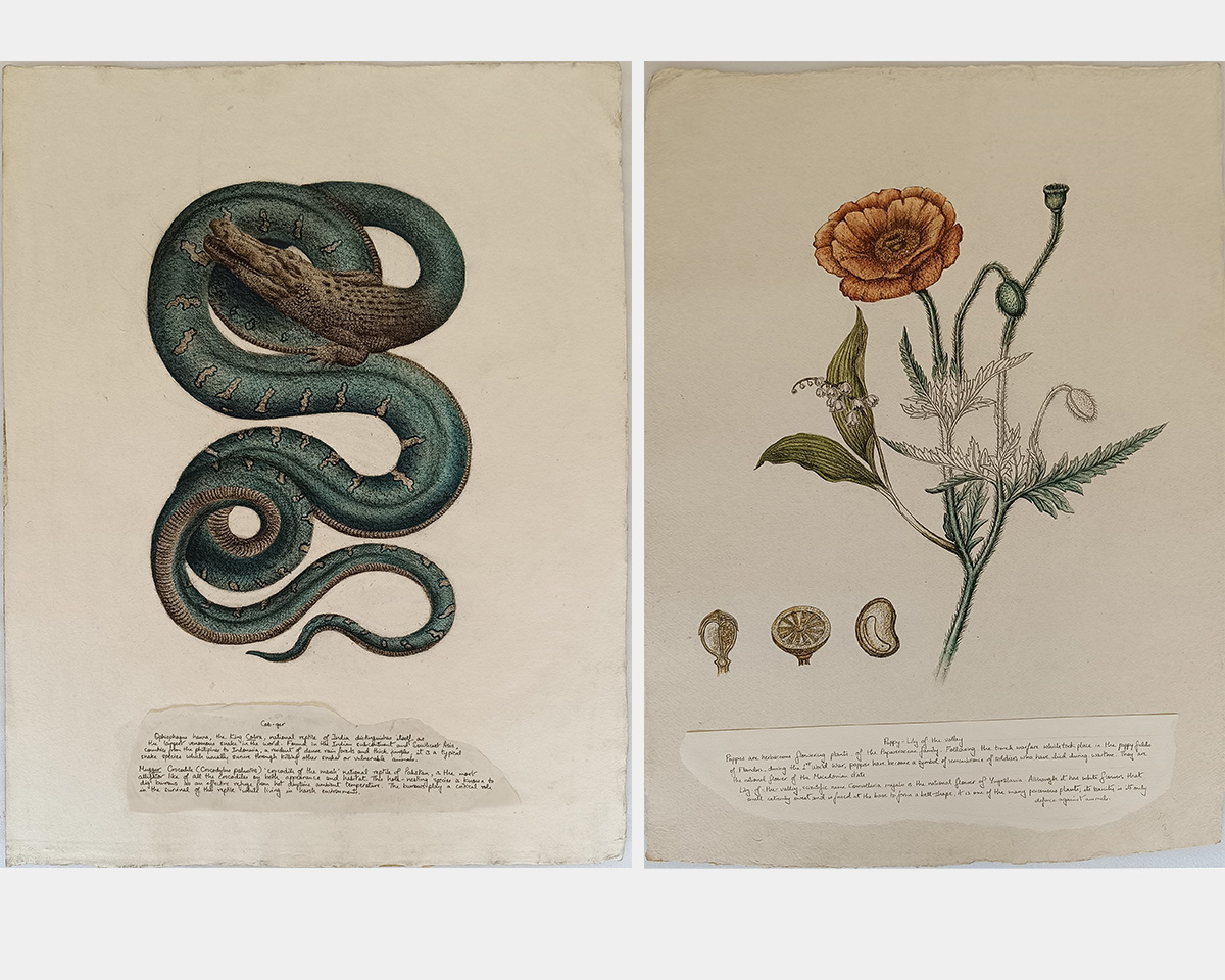 Image of a snake-like creature on the left and a flower on the right.