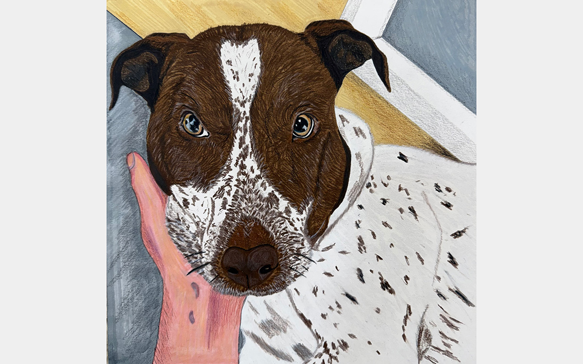 A pink hand holds a dog's face, colored brown and white
