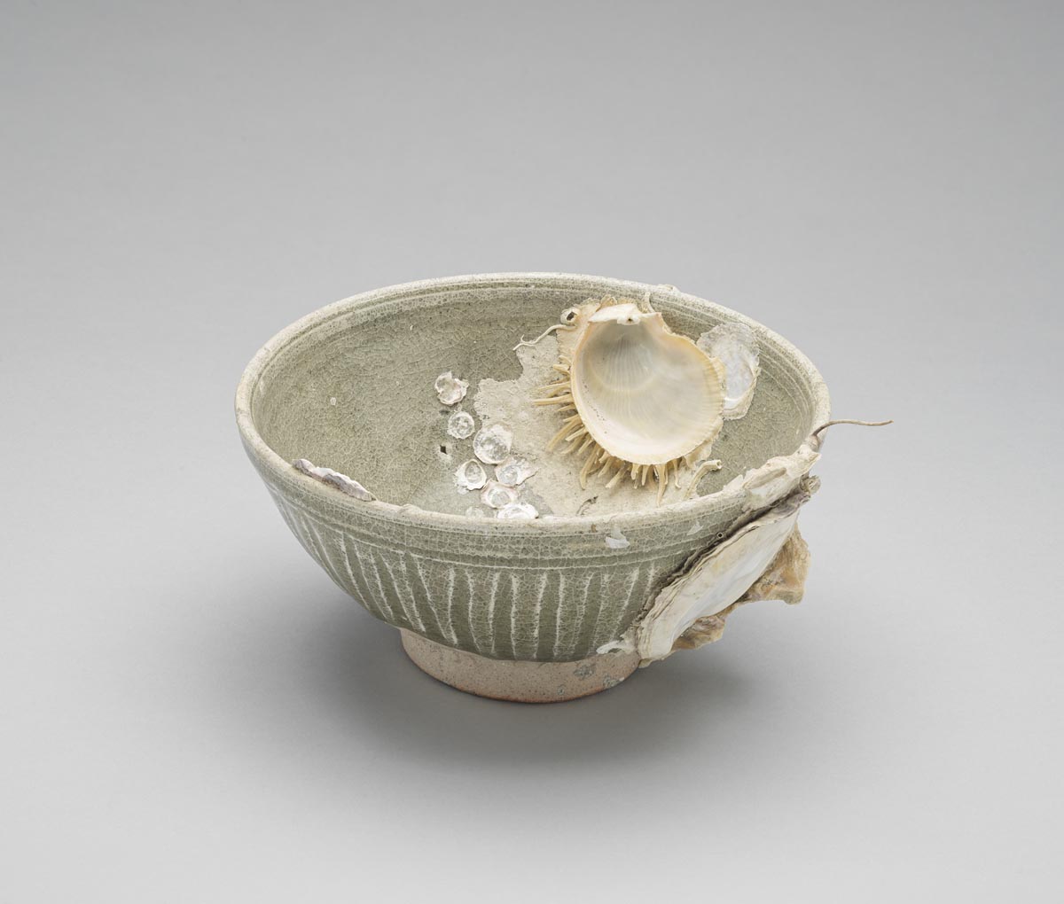 A small ceramic bowl with shells attached.