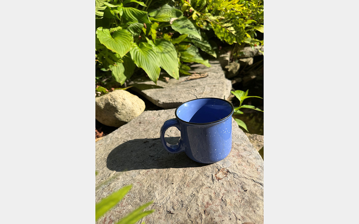 Blue coffee cup on a stone with green plants in the background