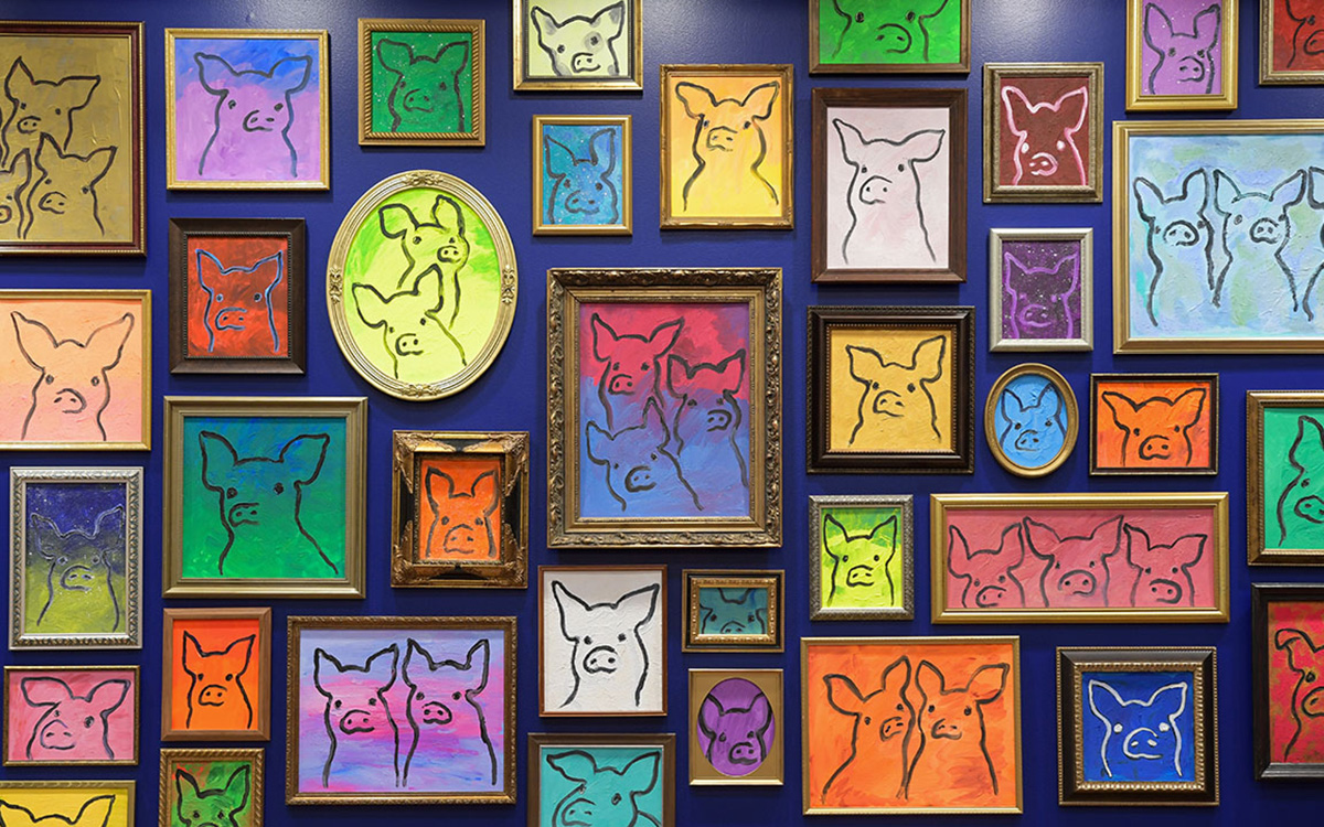 A gallery wall with many framed paintings of pigs on colorful backgrounds