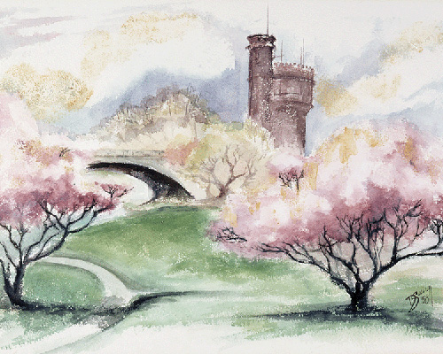 The Donald P. Sowell Endowment Committee 30th Anniversary Celebration