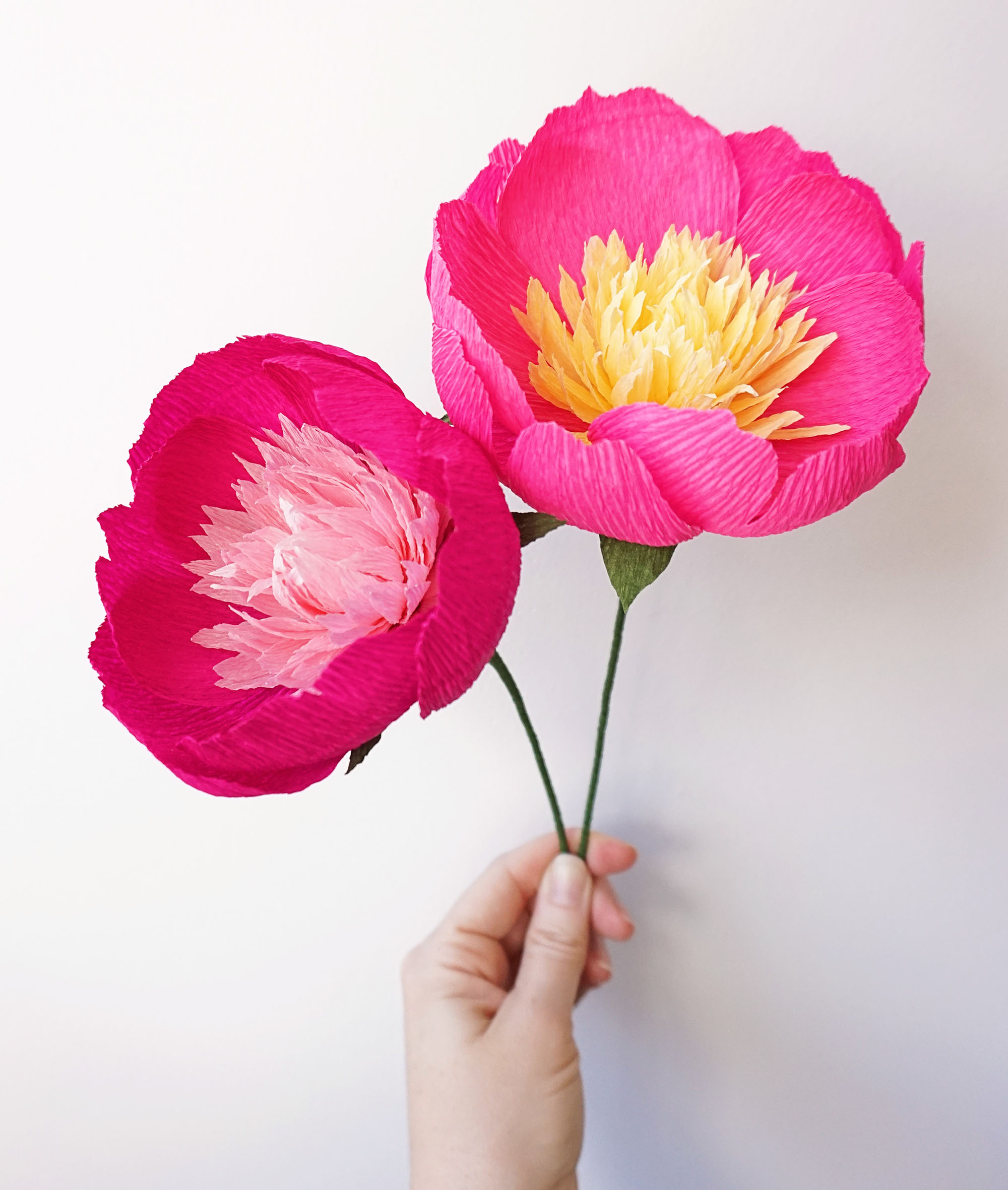 Paper Bowl of Beauty Peony Workshop with Kristin Joiner - AIB 2026
